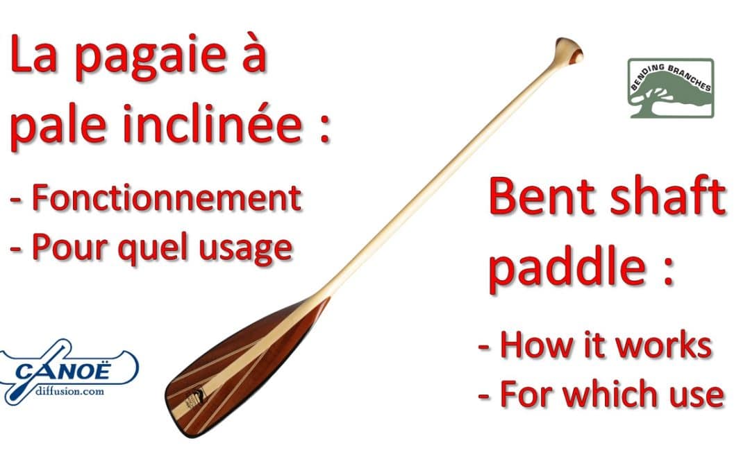 La pagaie à pale inclinée